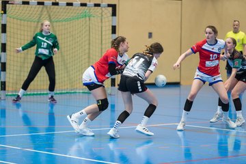 Bild 228 - wBJ HC Quickborn - HSG Tills Loew. : Ergebnis: 19:20
